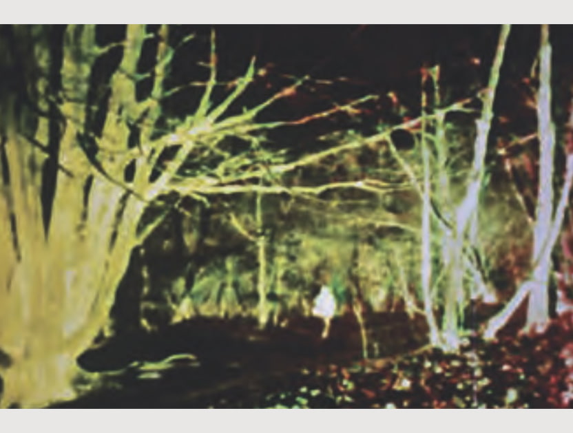832 629 Blog