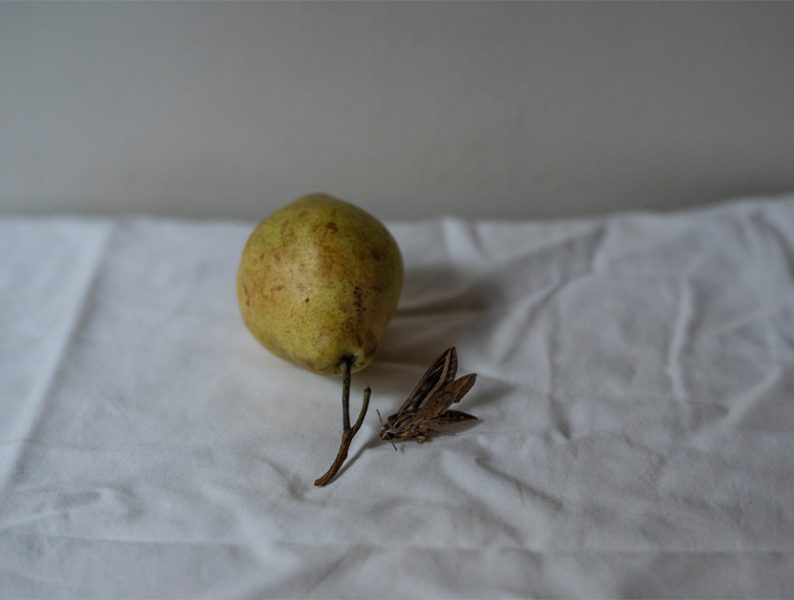 832 629 Blog