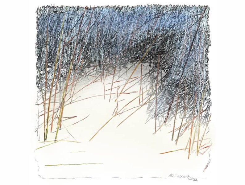 832 629 Blog